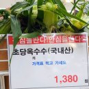 진아마트