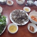 배신식당 이미지