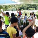 서농초등학교 이미지