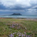 제주도가 이미지