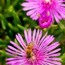 예상마을회관 이미지