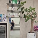 홀드의원 이미지