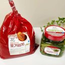 pet60다8654 | e샵 알뜰 장보기 종가 생생유산균 김치 역대급 혜택 모음 [종가] 포기김치와 [종가] 백열무 물김치 후기