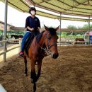 덕촌초등학교 이미지