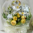 모멘토펠리스