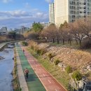 송산2교 이미지