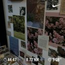 패스트라이프 | 꽃이 되면 좋을텐데 잎이 되어 지는구나