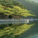 횡성호수길 주차장 화장실 | 횡성 호수길 알아보기