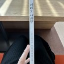 뚜띠쿠치나 천안 용곡점/천안중앙도서관, &lt;아마도 너라면&gt; &lt;개&gt; 책 읽기 : 두 번 방문!