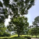 디투스 | 월평동 헬스장 디투스 1:1 PT 2회 후기