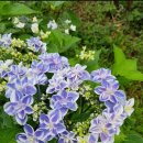 아라모드 - 청주시 흥덕구 운천로4번길 11 | 아라모드