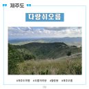 구좌읍 세화 다랑쉬오름(월랑봉)