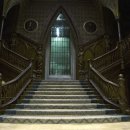 쉐도우(Shadows) 이미지