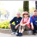 정발산역 이미지