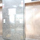 동화5차 이미지