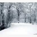 행복한하루 이미지