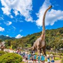 고산골 2 이미지