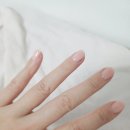 홍대네일샵 본앤뷰티 원컬러 젤네일 후기