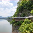 단양군보건소(개방) 이미지