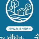 협재바닷가그리고숲속 네이버블로그