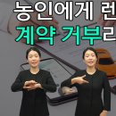 농인에게 렌터카 계약 거부라니 이미지