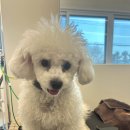 멍멍회관 이미지