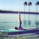 위플러스메디칼 이미지