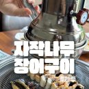 자작나무장어