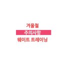 철트레이닝 이미지