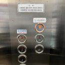 순천365치과의원 네이버블로그