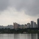 강남-178 이미지