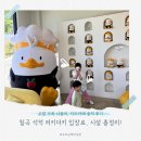 키즈오락 | [칠곡 석적 : 러키더키] 칠곡 러키더키 키즈카페 솔직 후기! 아쿠아리움+키즈존 이용팁까지