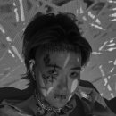 손참치 스포츠경향