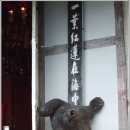 수왕사 약수터 이미지