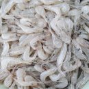 새우일 산소 이미지