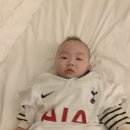 서귀포흑돈 이미지