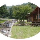 숲속통나무펜션 이미지