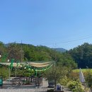 Cafe. The Green(카페 더 그린)