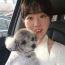 백합헤어샵 - 영천시 | 백합헤어샵