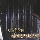 레오의집