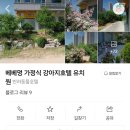 베베멍 이미지