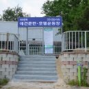 아이앤독 네이버블로그