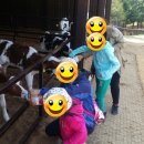 영미목장 이미지