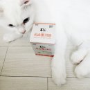 (주)이엘티사이언스 | 냐옹닥터 시스토가드 고양이 방광염 영양제 급여 후기