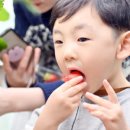 아인농장 이미지