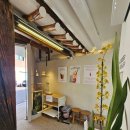 베리 | 안국 카페 추천 창덕궁 돌담길 감성 북촌 카페 오미베리 후기