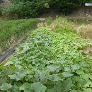 옛고을농장 이미지