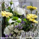 낙원화원 - 서초구 강남대로 27 | 태릉입구역 꽃집 낙원화원ㅣ생일 기념일 꽃다발 선물ㅣ단골 꽃가게 내돈내산 후기