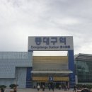 의료법인 큰나무의료재단 이미지