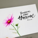 플러스펜 수채캘리 이미지